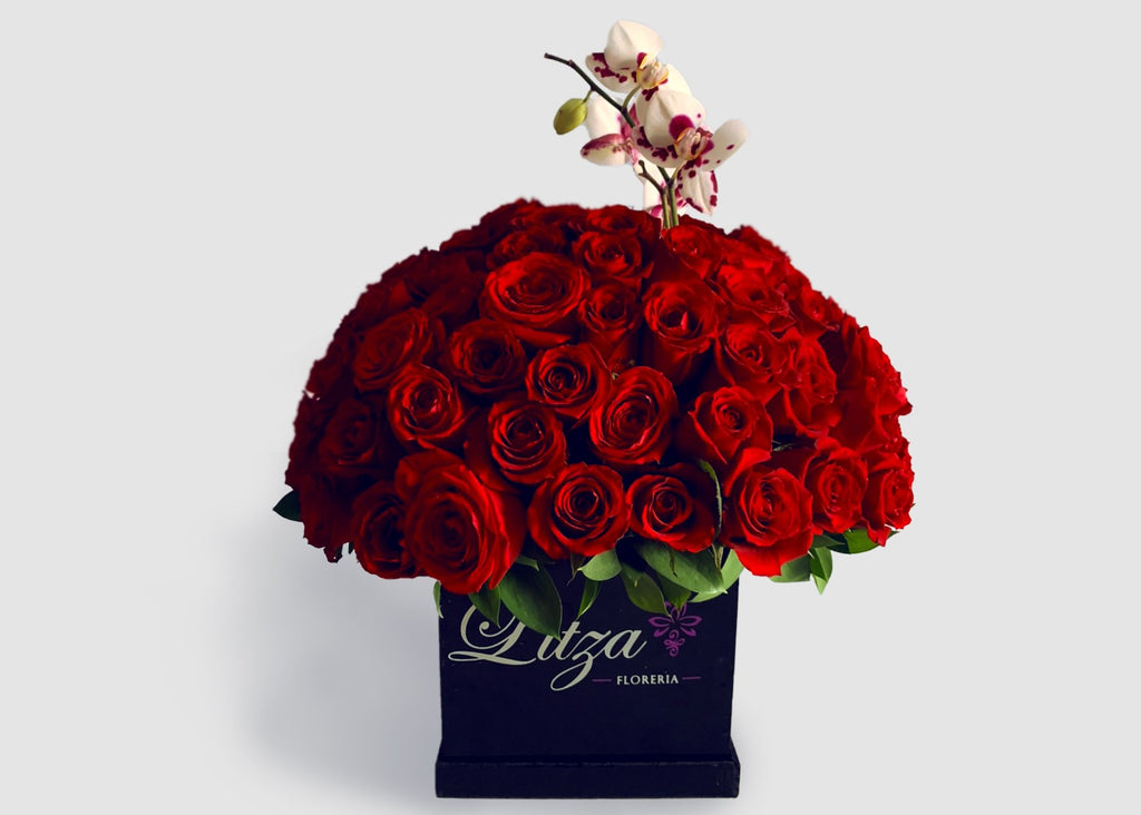 120 Rosas con Orquideas en caja negra Julia Litza Floreria