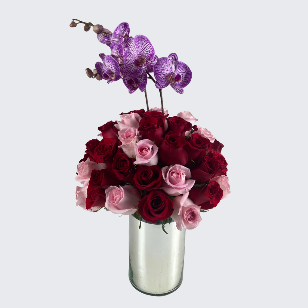 Lucero (Rosas Rojas con Orquídeas)